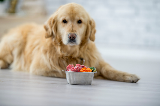 Tasty & Healthy Coconut Oil Treats for Your Pets 🥥🐕🐾