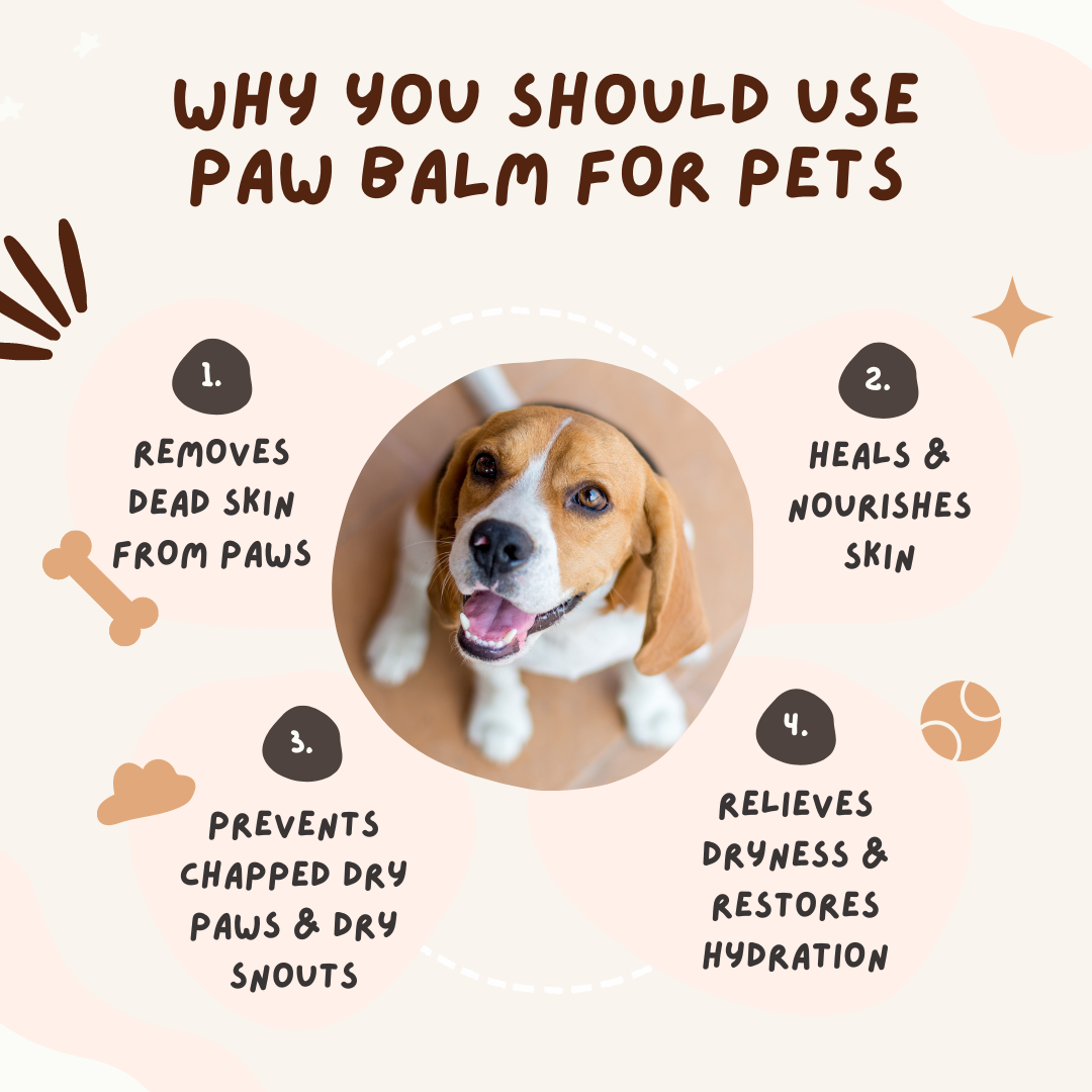 Paw Balm for Pets