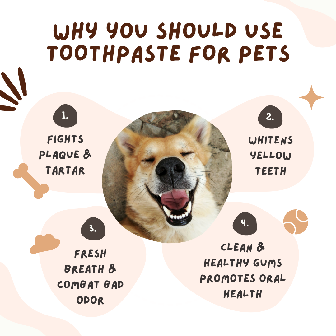 Toothpaste for Pets & Finger Toothbrush Combo