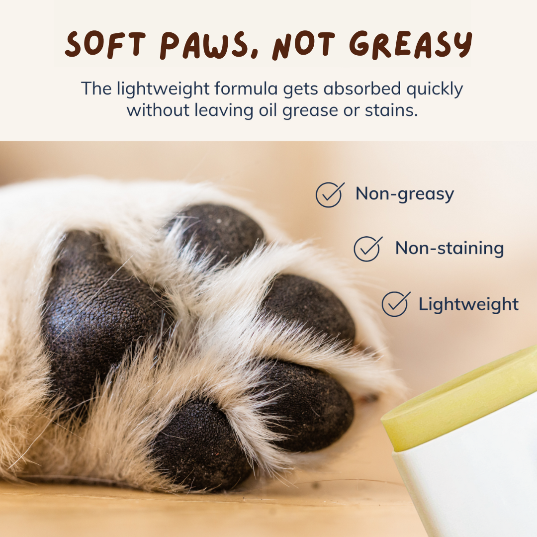 Paw Balm for Pets
