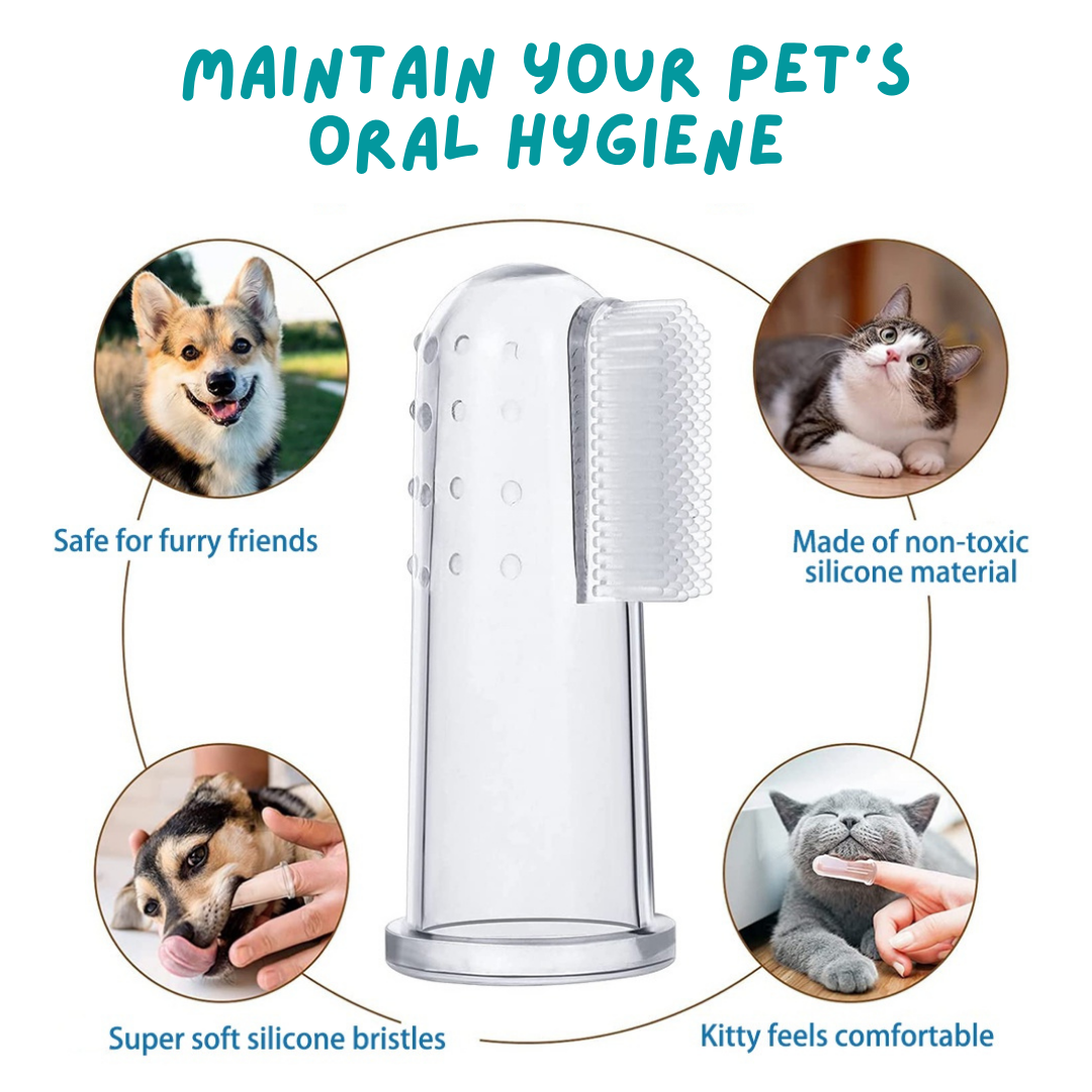 Berry Toothpaste for Pets & Finger Toothbrush Combo