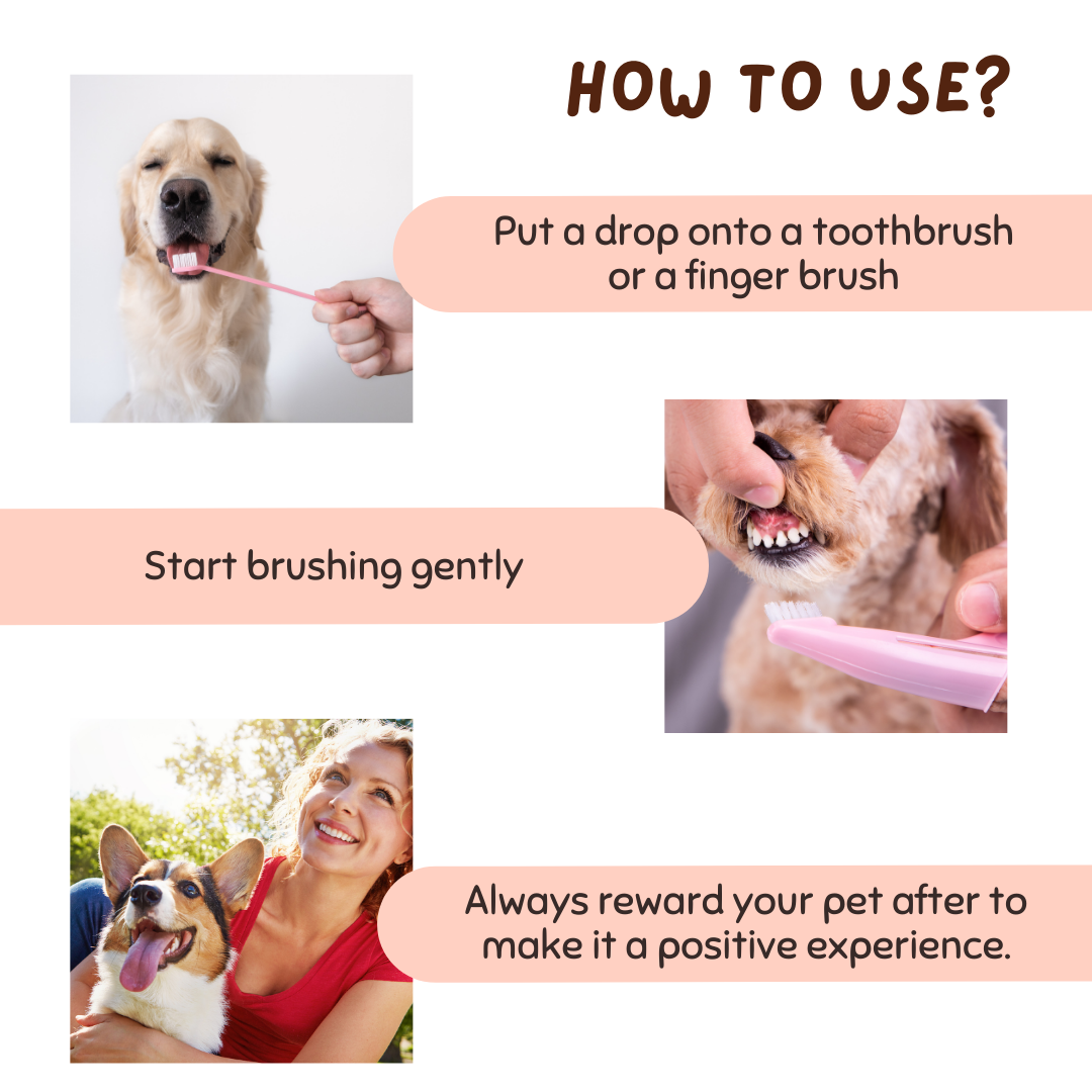 Toothpaste for Pets, Ingestion Safe