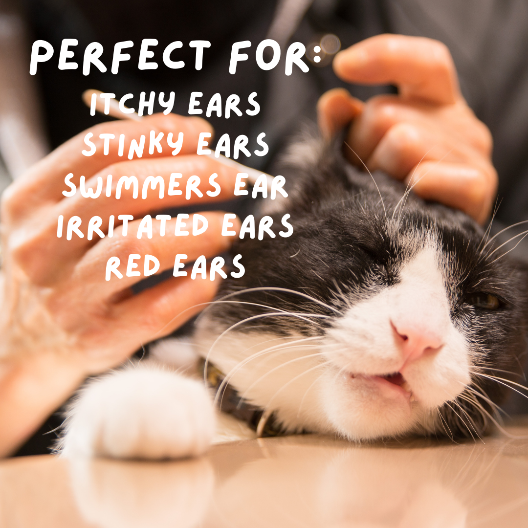 Ear Cleanser for Pets