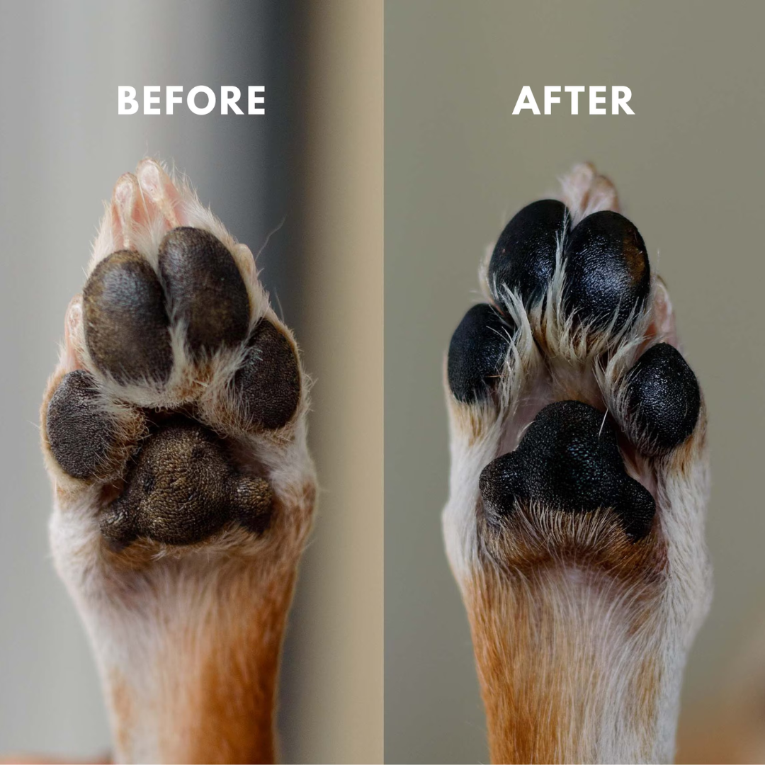 Paw Balm for Pets