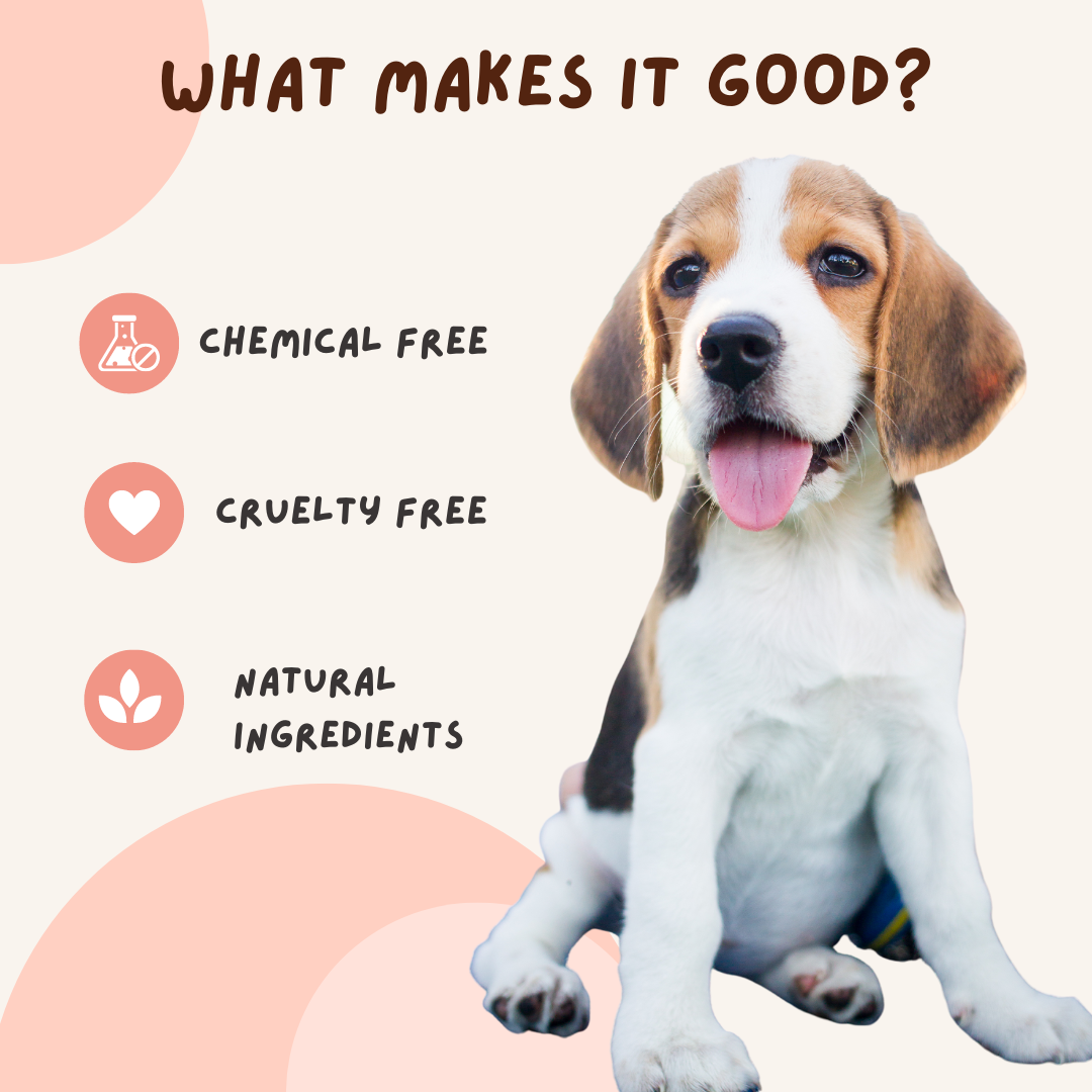 Paw Balm for Pets