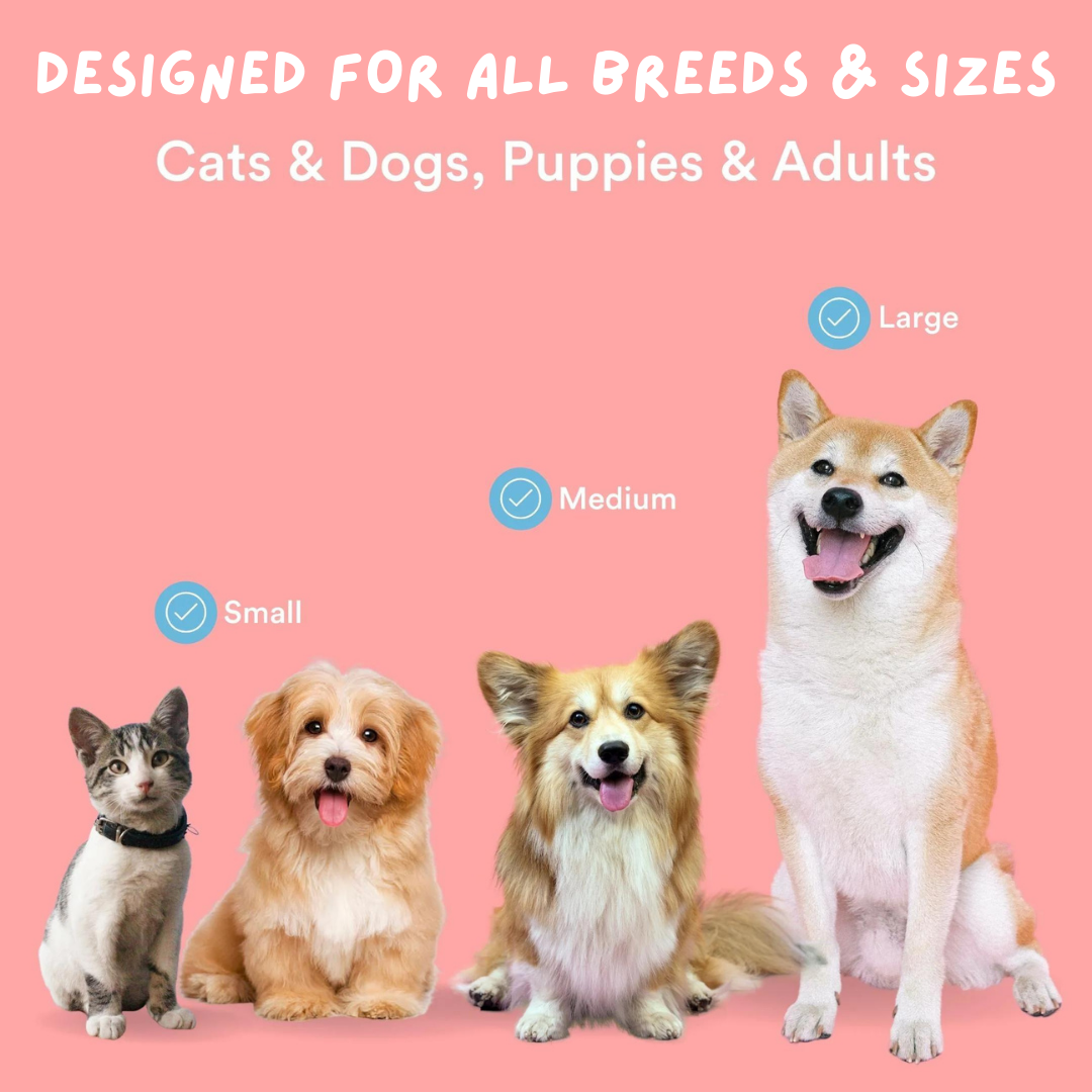 Toothpaste for Pets, Ingestion Safe