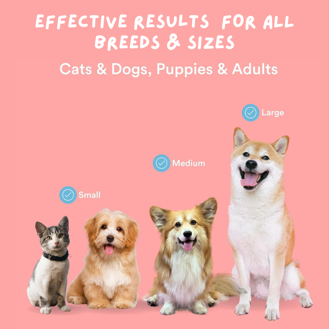 Flea & Tick Repellant Spray for Pets