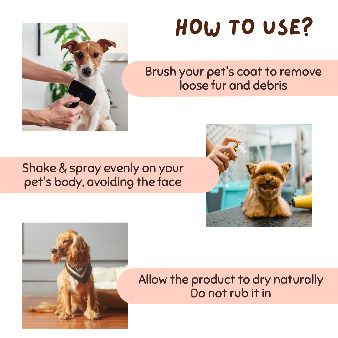 Flea & Tick Repellant Spray for Pets