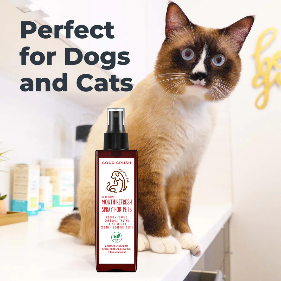No Brushing Mouth Refresh Spray for Pets