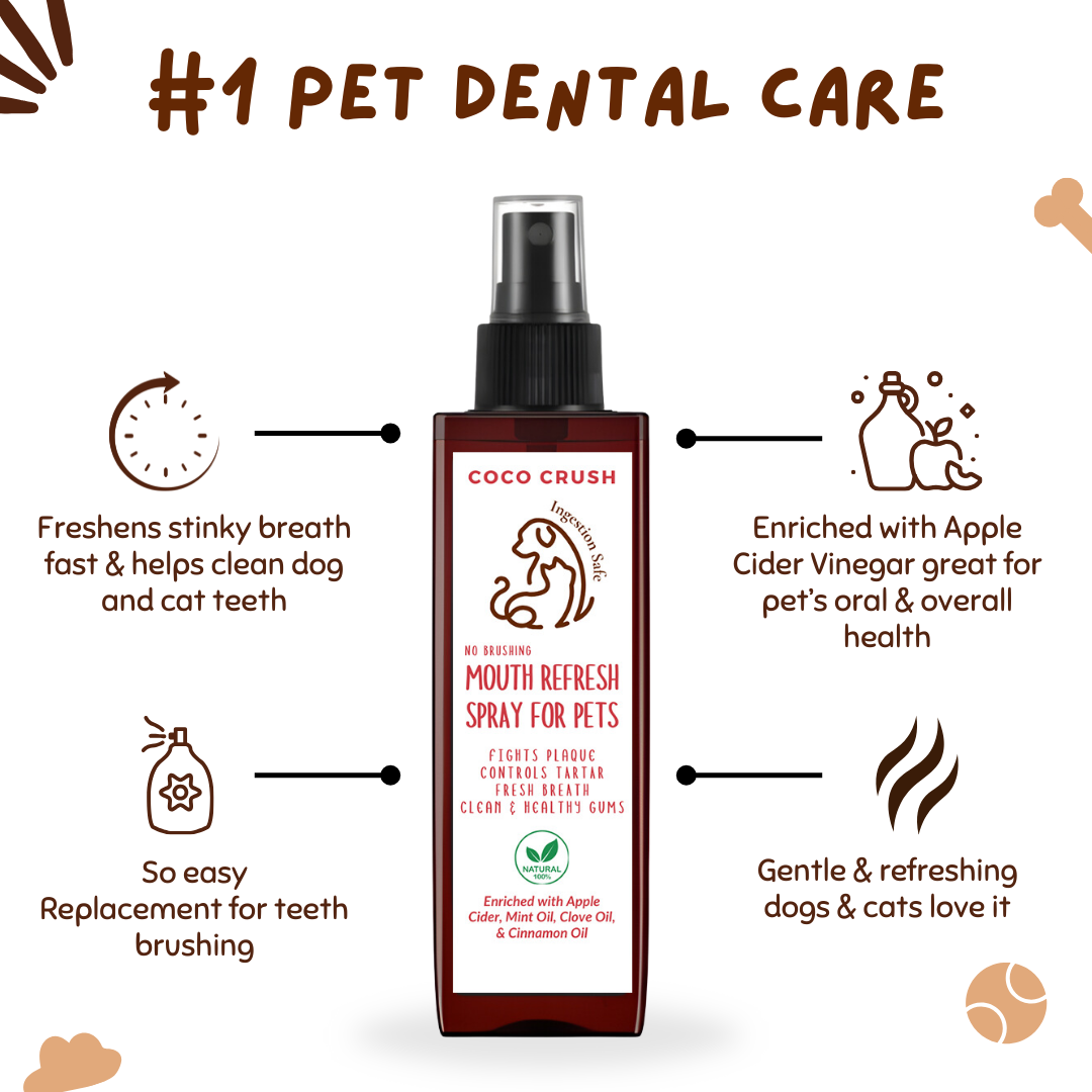 No Brushing Mouth Refresh Spray for Pets