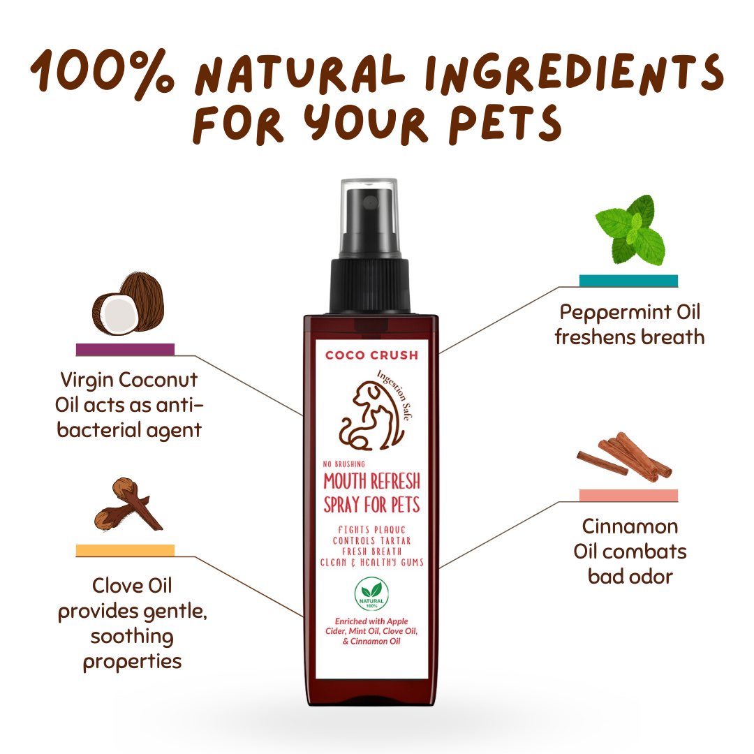 No Brushing Mouth Refresh Spray for Pets
