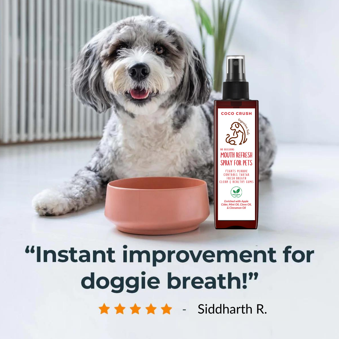 No Brushing Mouth Refresh Spray for Pets