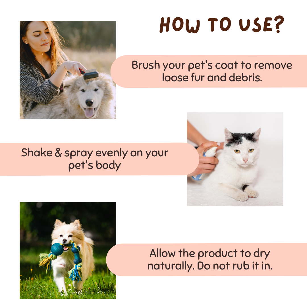 Coconut Vanilla Pawfume for Pets