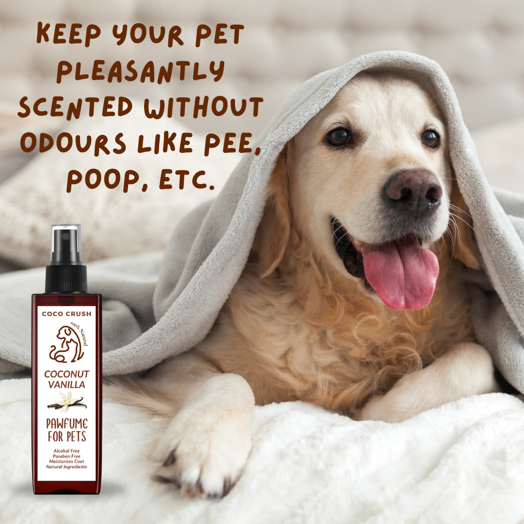 Coconut Vanilla Pawfume for Pets