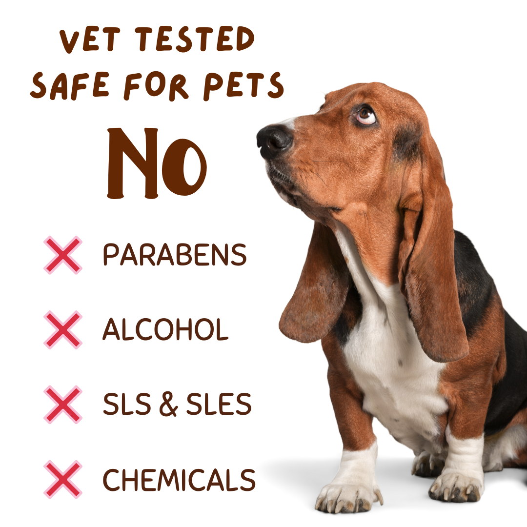 Coconut Vanilla Pawfume for Pets