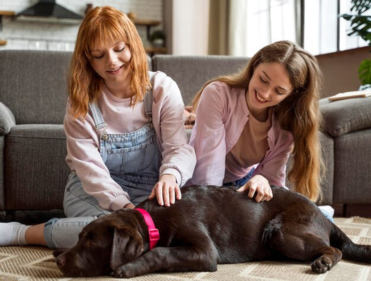 Two girls giving a relaxing oil massage to a dog, promoting skin health.