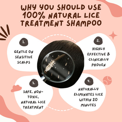 Natural Lice Treatment Combo: Ayurvedic Anti Lice Shampoo & Fine Comb