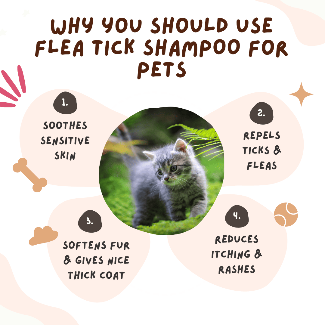 Organic Flea & Tick Pet Shampoo and Long Grip Coat Comb