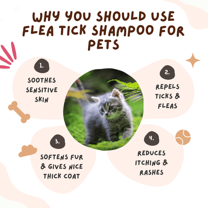 Organic Flea & Tick Pet Shampoo and Long Grip Coat Comb