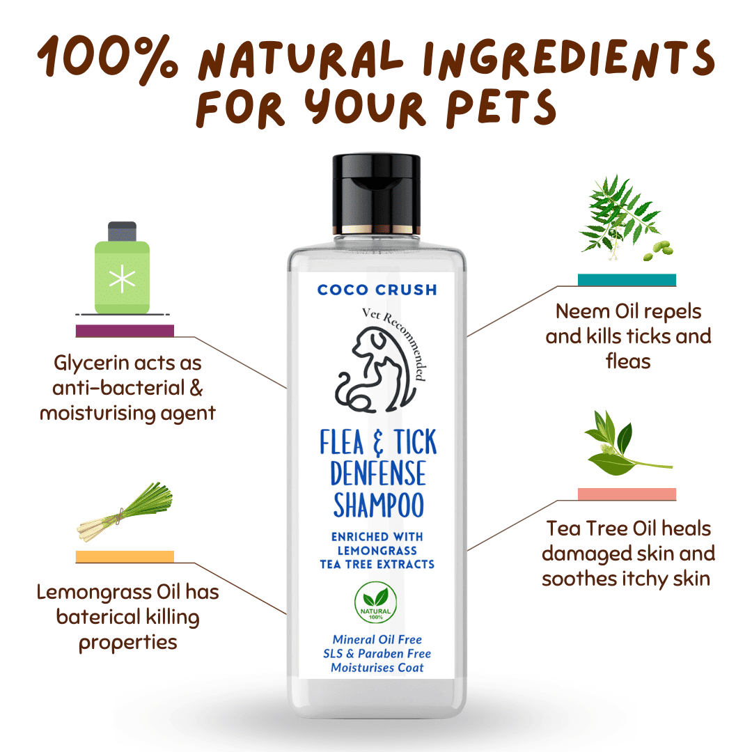 Organic Flea & Tick Pet Shampoo and Long Grip Coat Comb