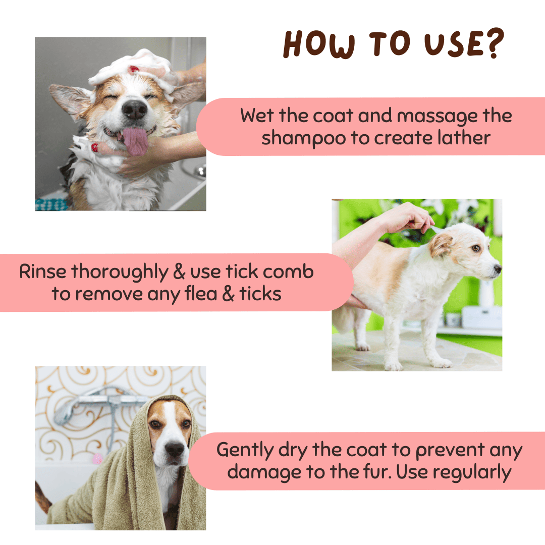 Organic Flea & Tick Pet Shampoo and Long Grip Coat Comb
