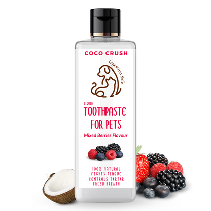 Berry Toothpaste for Pets