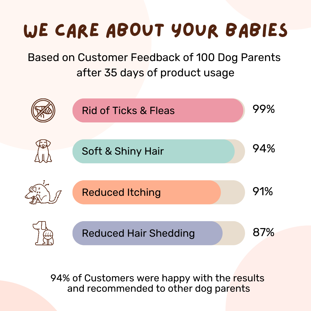 Flea Tick Defence Kit: Organic Shampoo Stainless Steel