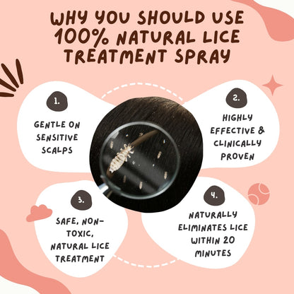 Ayurvedic Lice Removal Oil (50ml), Hair Spray (50ml), & Comb